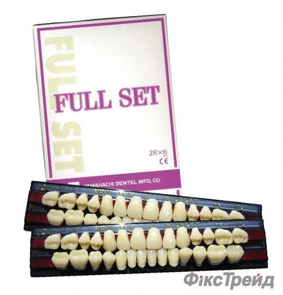 Зуби акрилові FULL SET (Yamahachi Dental), 28 зубів 2789 фото