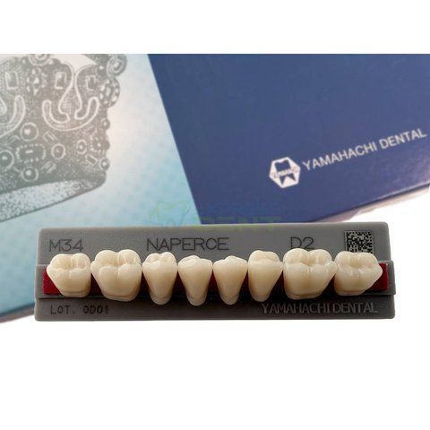 Зуби акрилові жувальні NAPERCE,(Yamahachi Dental) 8 шт. 2790 фото