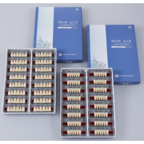 Зуби акрилові фронтальні New Ace (Yamahachi Dental) , 6 шт. 2791 фото